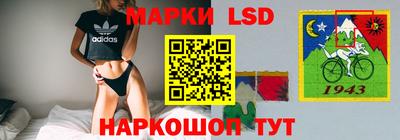 гашик Гусев
