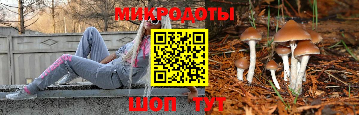 Псилоцибиновые грибы мухоморы Нижнеудинск